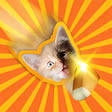Candy Cat APK